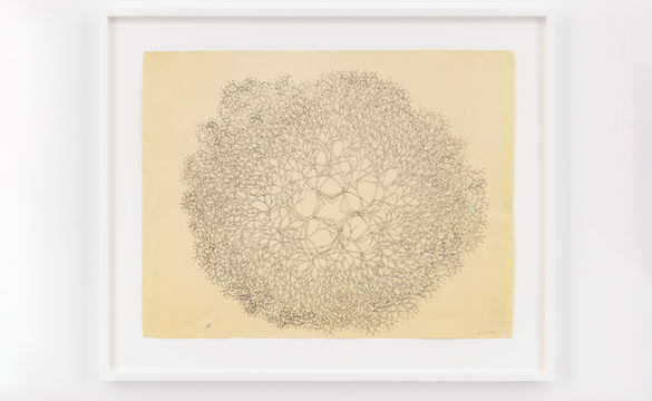 An intricate ink drawing by artist Ruth Asawa in a white frame on a white wall