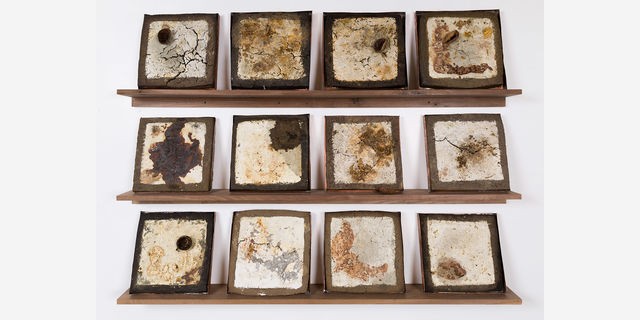 A grid of 12 square slabs made of corn masa, soil, orange peels, and culinary dishes