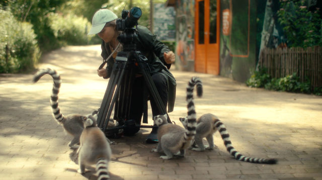 A nature photographer surrounded by lemurs