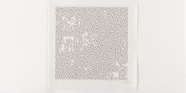 Abstract computer drawing with many small diagonal lines