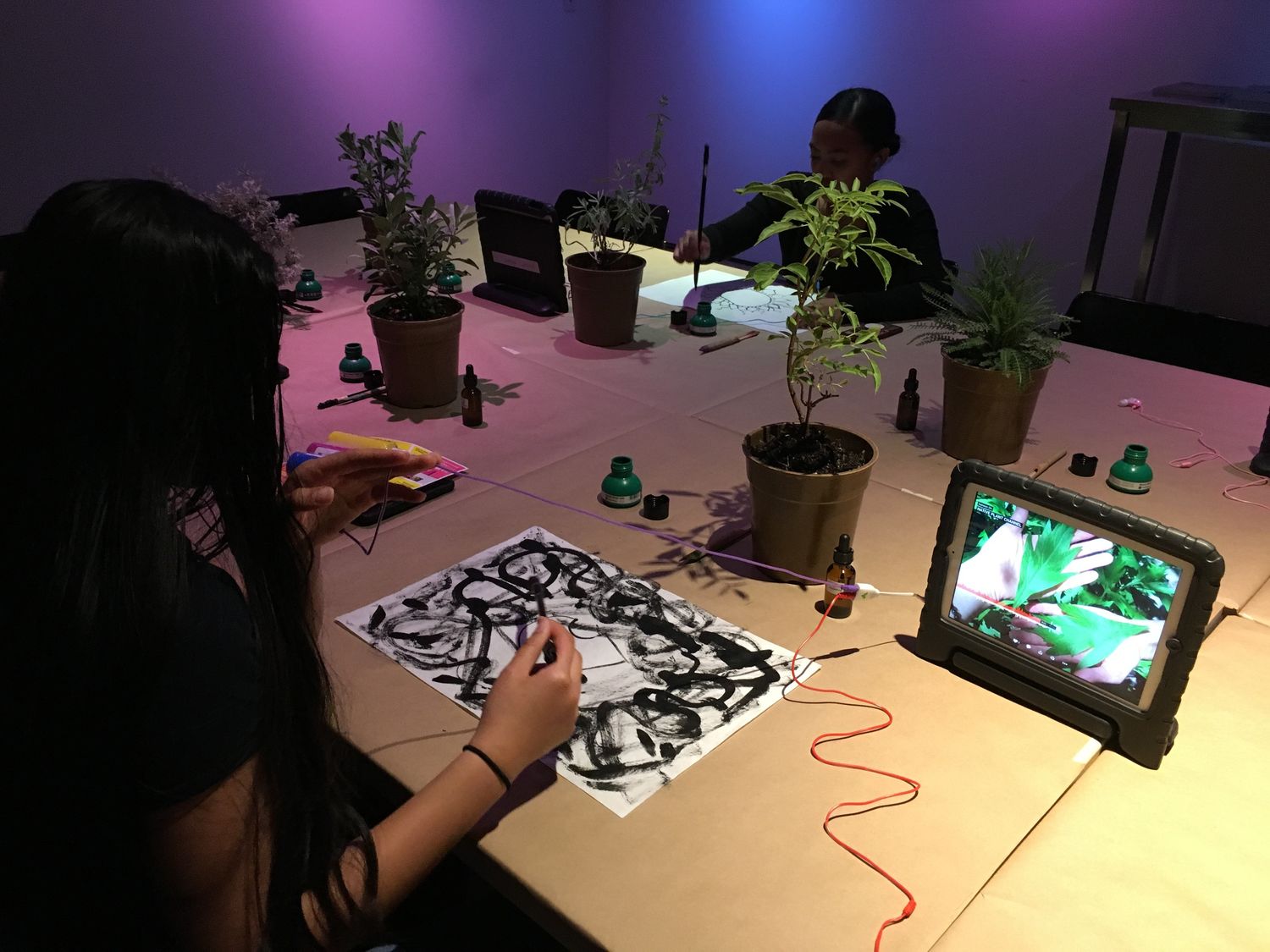 Two students on either side of a table look at plants while drawing