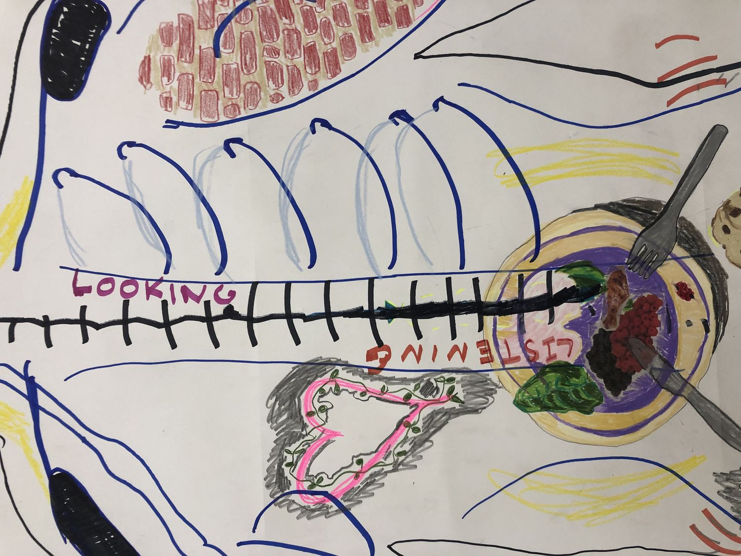 Drawing of spine in black ink, ribs in blue ink, and a heart drawn in pink with gray shadowing around it