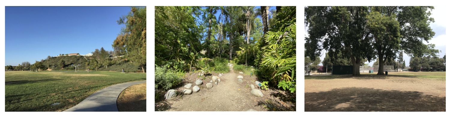 Three pictures side by side of parks. Left image has a blue sky taking up half the frame with green grass at the bottom. Center image is a brown walking path lined with gray stones surrounded by tall green trees. Right image is brown grass in the foreground with a dark green tree dominating the top half of the image 