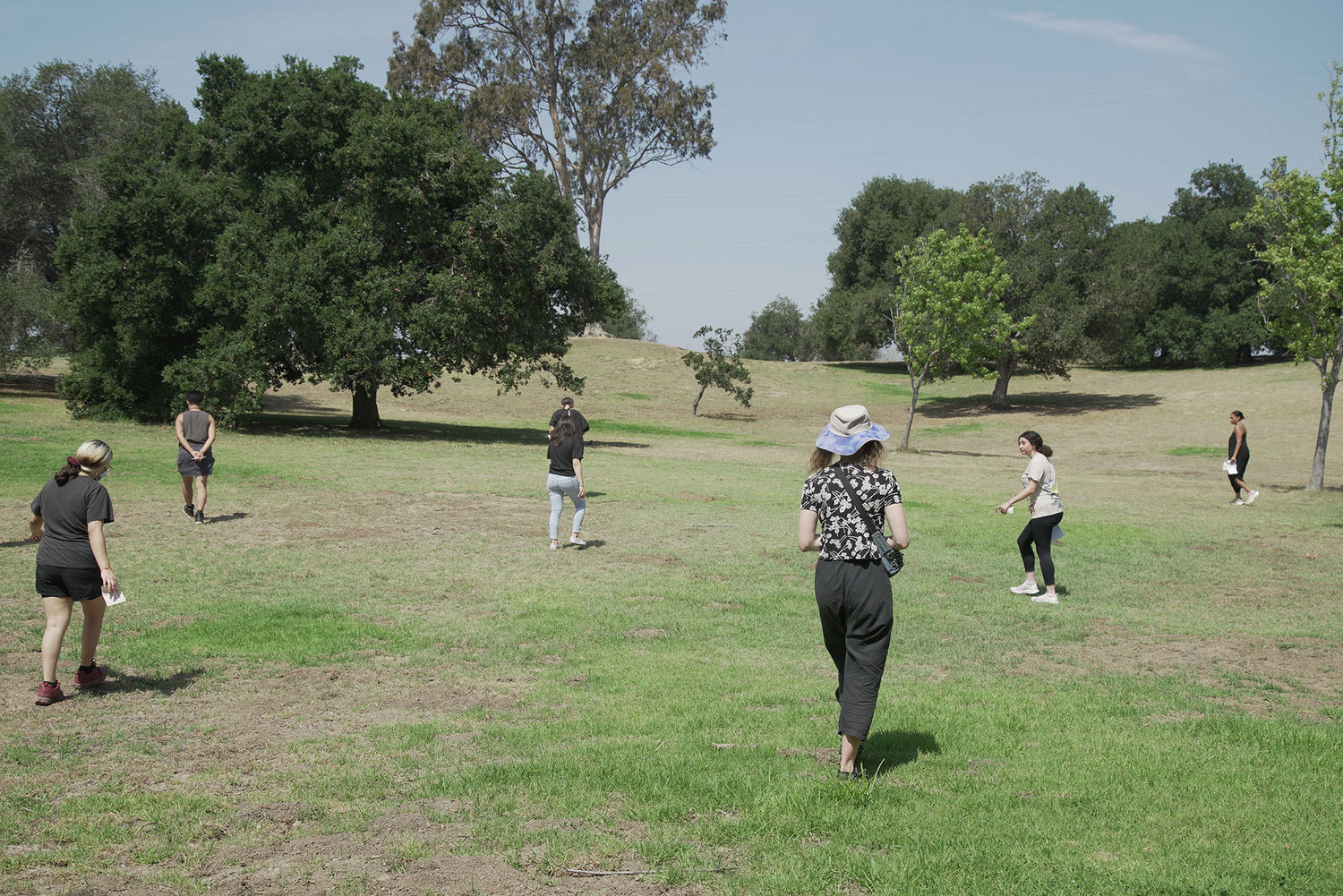 A group of people wander in a field among oak trees