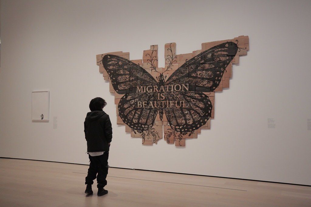 A student stands in front of a large work on cardboard by Andrea Bowers portraying a butterfly and the phrase "MIGRATION IS BEAUTIFUL"