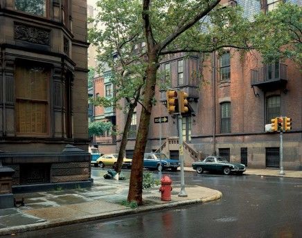 The Biographical Landscape | Hammer Museum