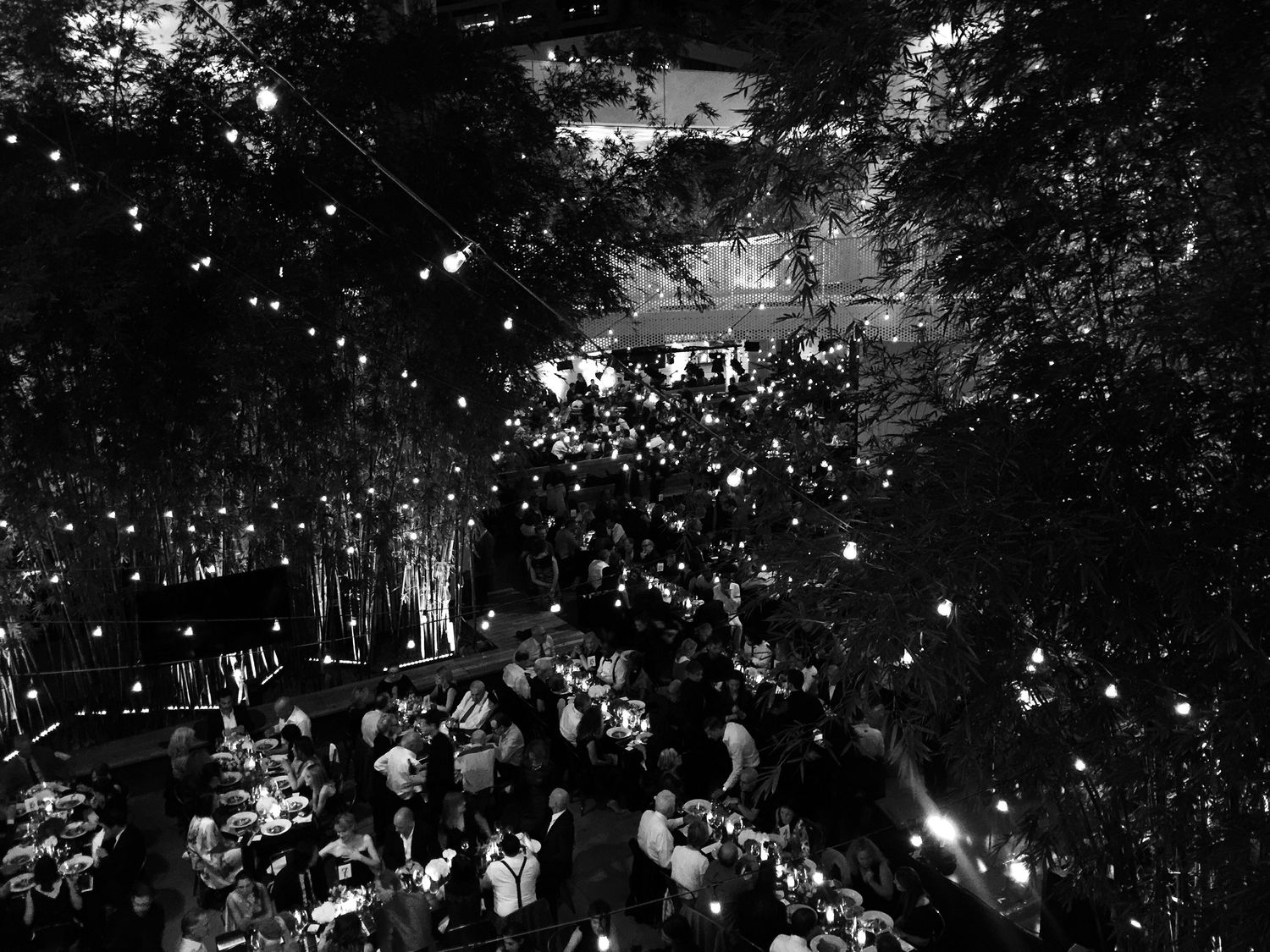 Hammer Gala