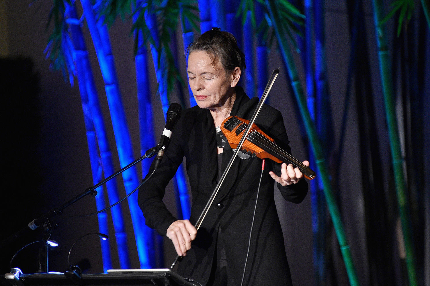 Laurie Anderson