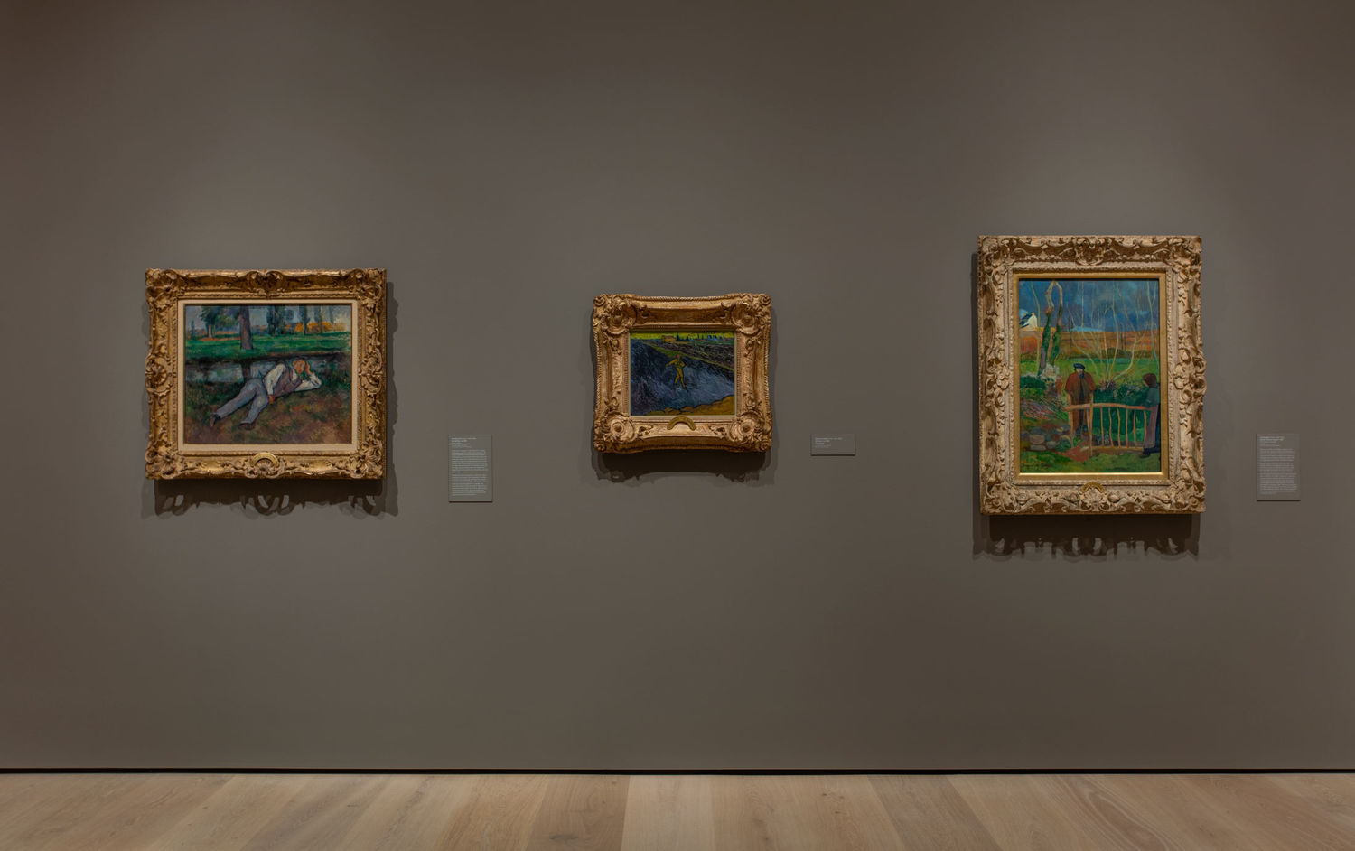 Hammer Museum Location