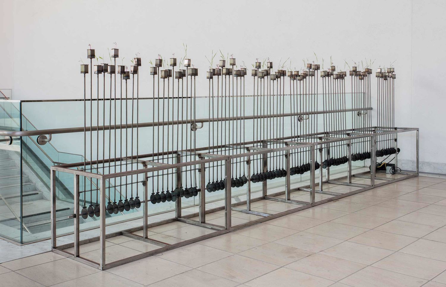 Beatriz Cortez, Piercing Garden, 2018. Installation view