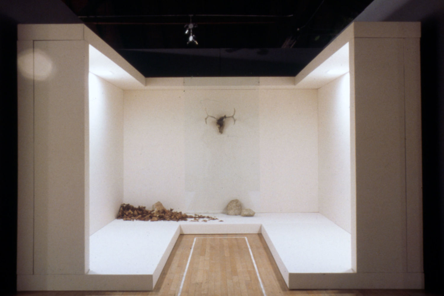 Allen Ruppersberg: Intellectual Property 1968–2018 | Hammer Museum