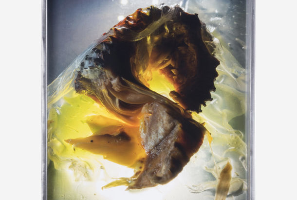 An amorphous brown form suspended in water