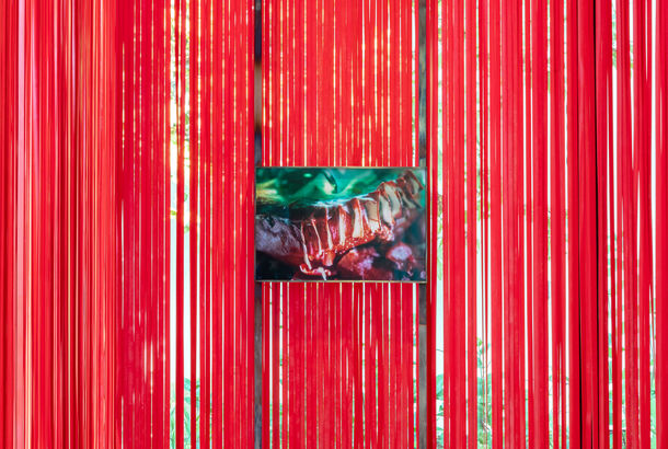A photograph of a colorful, fleshy object hanging in front of a curtain of red ribbons