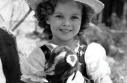 Black-and-white photo of a young Shirley Temple, standing outside wearing a hat and holding a baby goat.