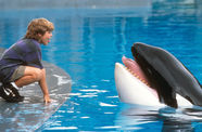A boy squats and sticks out his tongue next to a pool of water where a killer whale lifts its head up, with mouth open and tongue sticking out.