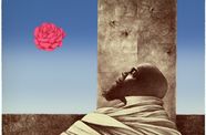 An artwork of a man in a cloak looking up at a pink rose