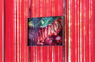 A colorful, fleshy photograph hanging against a wall of red ribbons