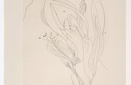 Line drawing of flowers