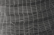 Somewhat irregular of white lines over black background