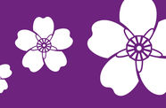 Graphic of white flowers on a purple background