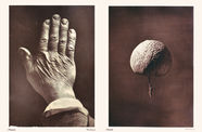 Image of a hand and a brain next to each other. 