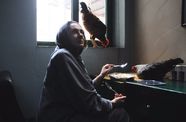 A woman sits at a desk with two chickens, eating her food. 