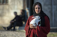 A woman holds a rabbit. 