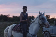 Man riding a horse during sunset. 