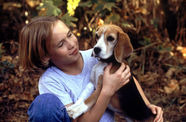 A young boy plays with a beagle