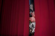 cute animals peek through a red show curtain