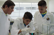 Three boys working in a science lab
