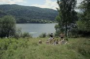 A family sits in a field by a body of water