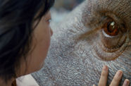 Movie still from Okja