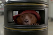 Paddington bear looks out from a trash can