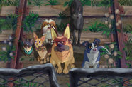 Animated still of a group of dogs