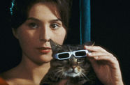 A woman stands behind a cat who is wearing sunglasses