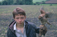 A boy holds a falcon on his arm