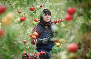 Still from In the Land of Brothers