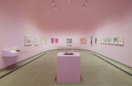 Installation view of framed works on paper installed on wall and in vitrines, the Vault gallery walls painted pink