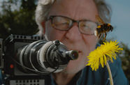 Martin Dohrn filming a bumblebee hovering over a dandelion
