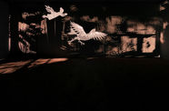 Image of multimedia installation with elements of shadow puppetry