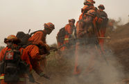 A line of inmates dressed in orange firefighting gear, digging a trench