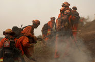 A line of inmates dressed in orange firefighting gear, digging a trench