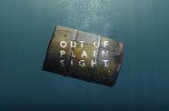 Hero image for Out of Plain Sight movie