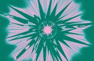Green and pink starburst design
