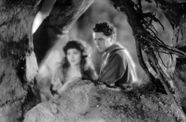 A woman and a man, viewed in soft focus through the boughs of a tree