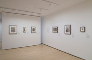 Gallery with framed works on paper mounted on the wall