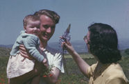 A man holds a baby in his arms, while a woman holds up a large purple flower