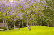 A large grassy area with trees in the middle ground blooming with purple flowers, and a single bronze sculpture of a nude woman standing on the grass in the middle ground, and another abstract sculpture in the background. More trees are in the background, and appear to obscure buildings.