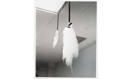 Two feathers hang from a ceiling
